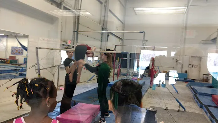 Dutchess County Gymnastics Center Picture 8