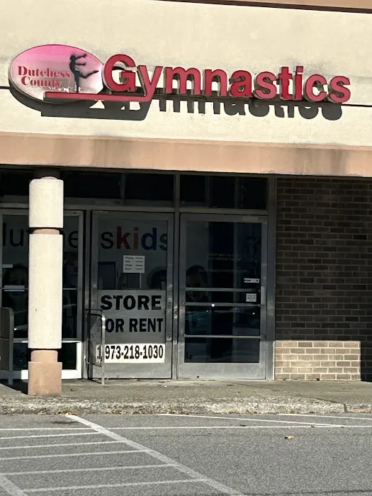 Dutchess County Gymnastics Center Picture 4