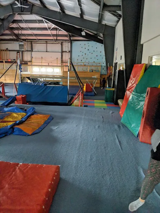 Big East Gymnastics Inc Picture 2