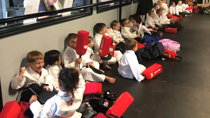 Pope's Martial Arts Academy Picture 7