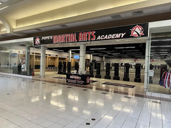 Pope's Martial Arts Academy Picture 10