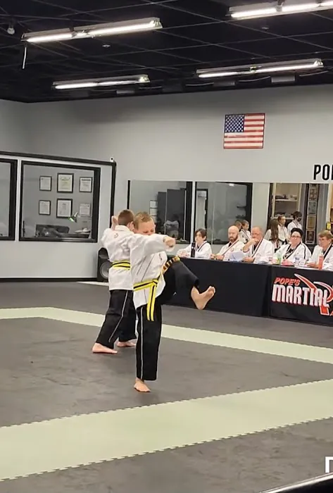 Pope's Martial Arts Academy Picture 5