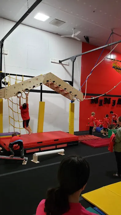 Sterling Academy Of Gymnastics Picture 1