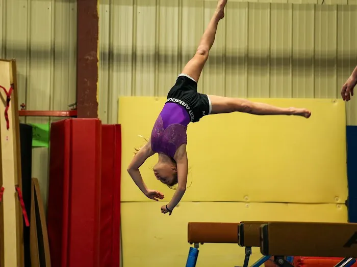 Balance Gymnastics and Wellness Center Picture 9