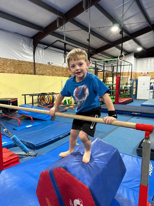 Balance Gymnastics and Wellness Center Picture 2