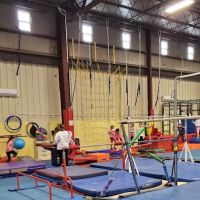 Balance Gymnastics and Wellness Center ico