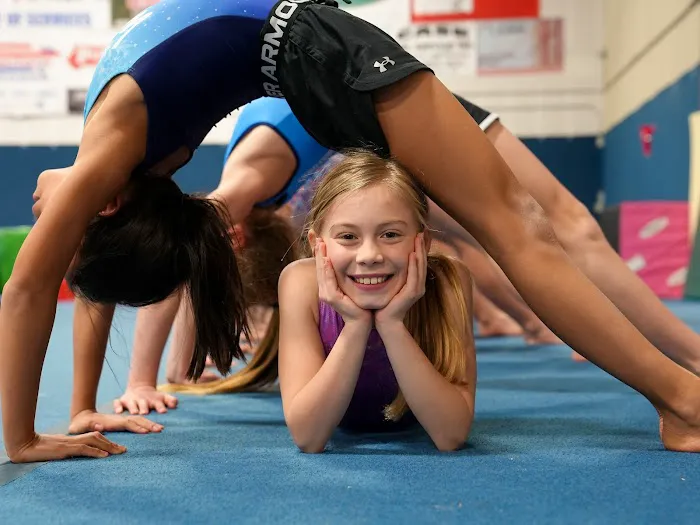 Balance Gymnastics and Wellness Center Picture 8