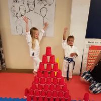 Edinboro Family Martial Arts Center ico