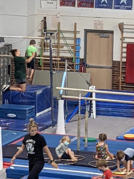 Deary's Gymnastics Picture 2