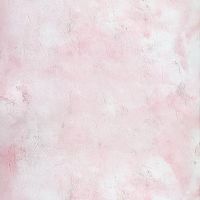 Rise Up Dance Studio ico