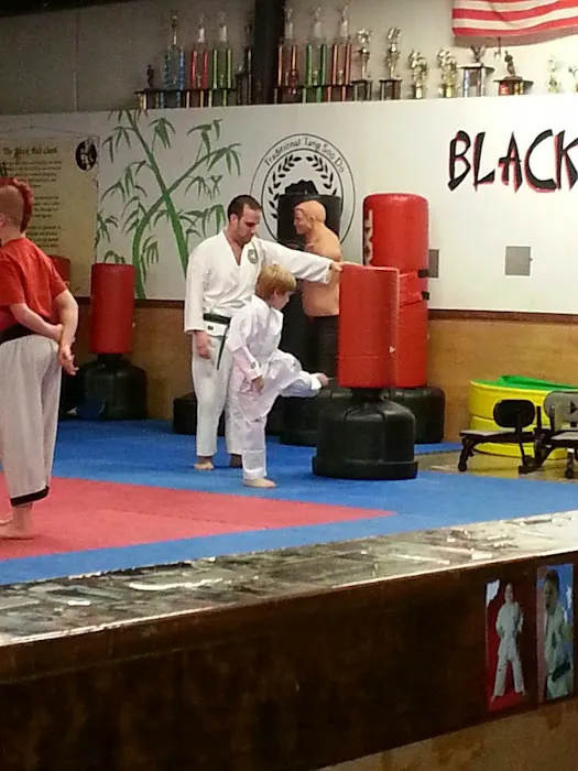 Pak's Martial Arts Academy Picture 4