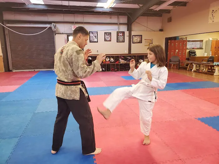 Pak's Martial Arts Academy Picture 7