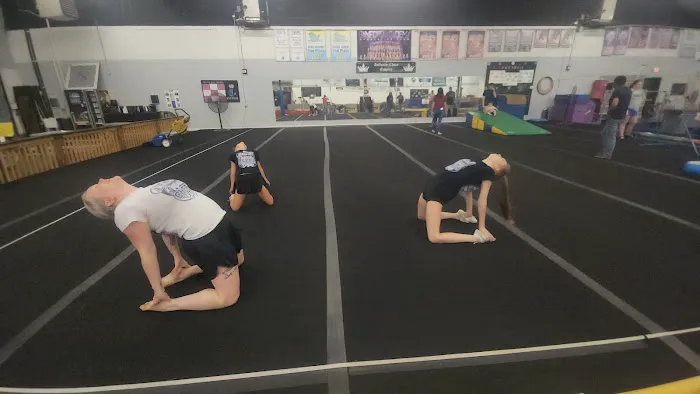 Sanford Academy of Gymnastics & Cheer Picture 6