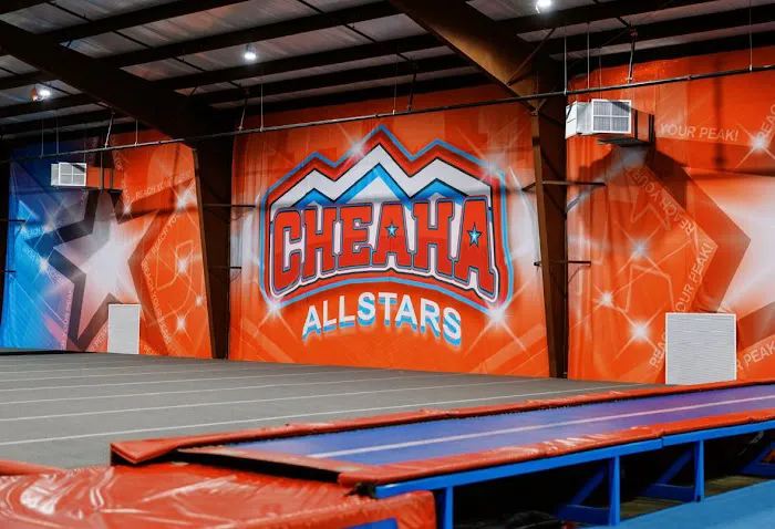 Cheaha Cheer and Tumble, LLC Picture 3