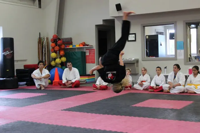 Kicks Unlimited Family Martial Arts Center Picture 2