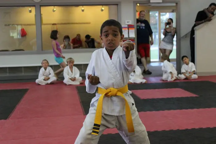 Kicks Unlimited Family Martial Arts Center Picture 5