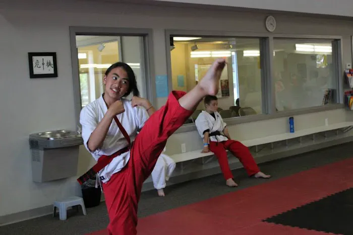 Kicks Unlimited Family Martial Arts Center Picture 8