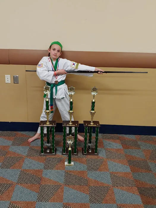 Min's Karate Academy Picture 8
