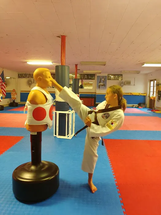 Min's Karate Academy Picture 5