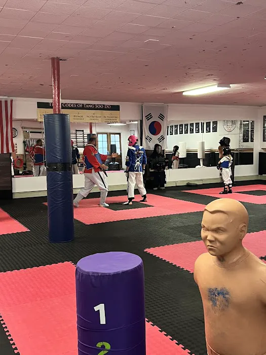 Min's Karate Academy Picture 10