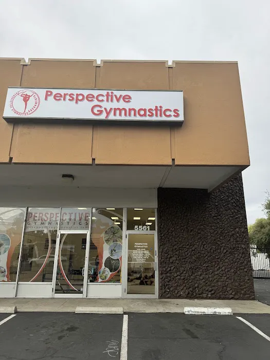 Perspective gymnastics Picture 6