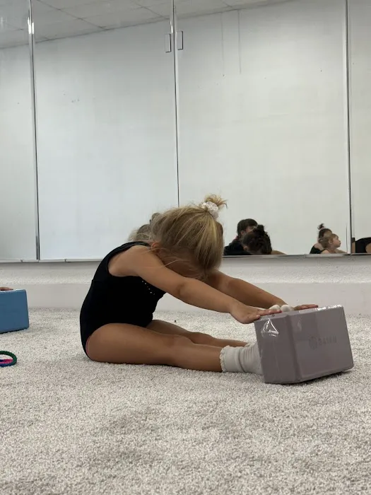 Perspective gymnastics Picture 2