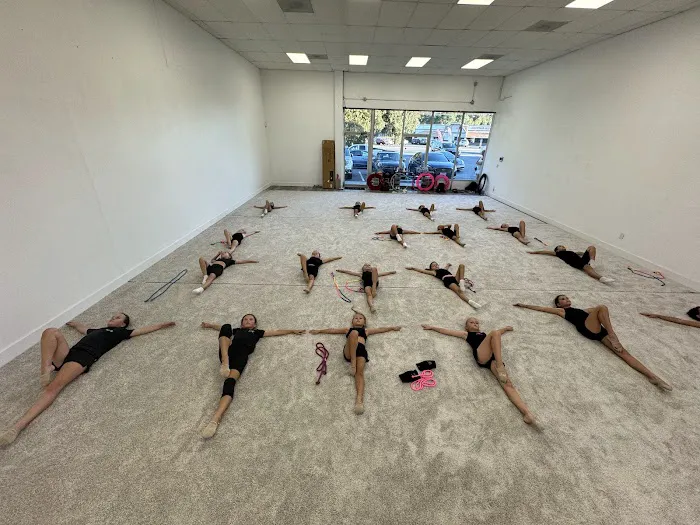 Perspective gymnastics Picture 4