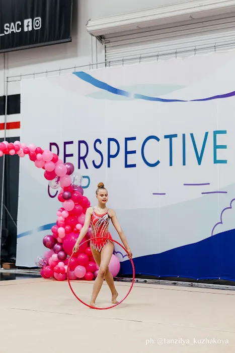 Perspective gymnastics Picture 8