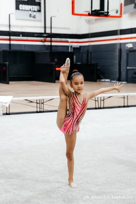 Perspective gymnastics Picture 3