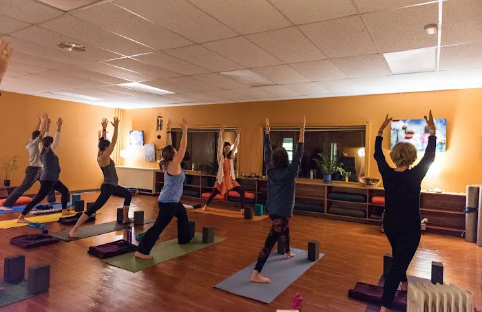New Moon Yoga Studio Picture 2