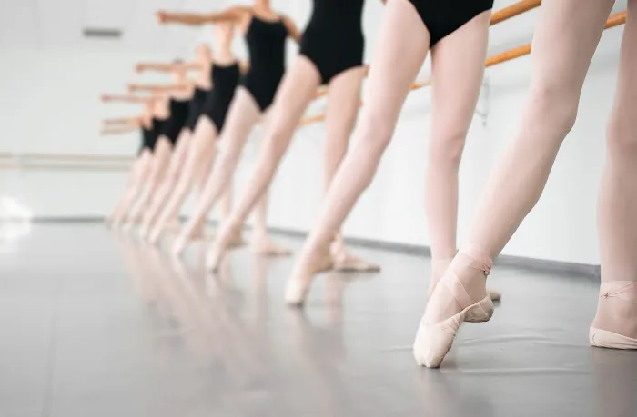 The Graceful Ballerina Picture 2