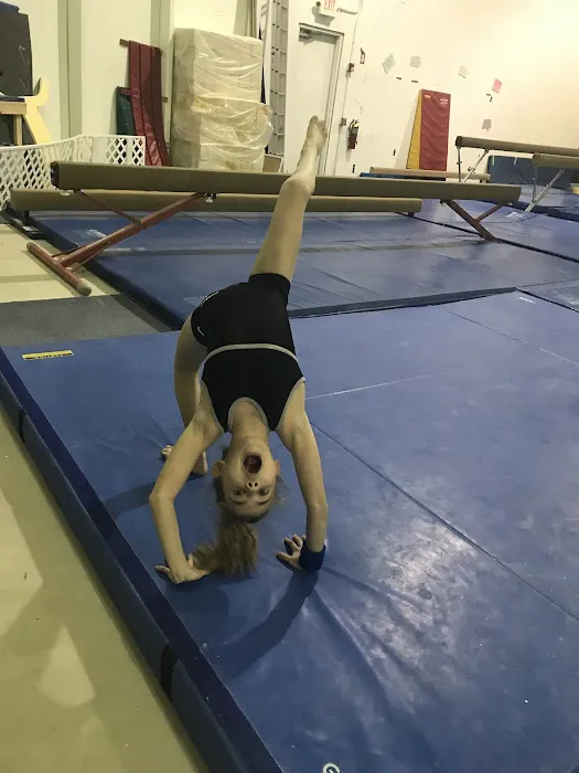 GymQuest Picture 6