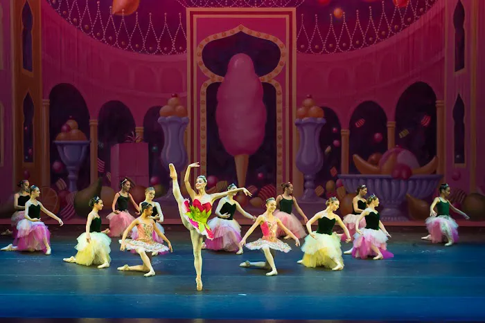 South Florida Ballet Theater Inc Picture 7