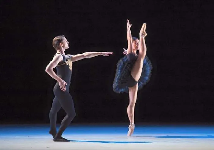 South Florida Ballet Theater Inc Picture 3