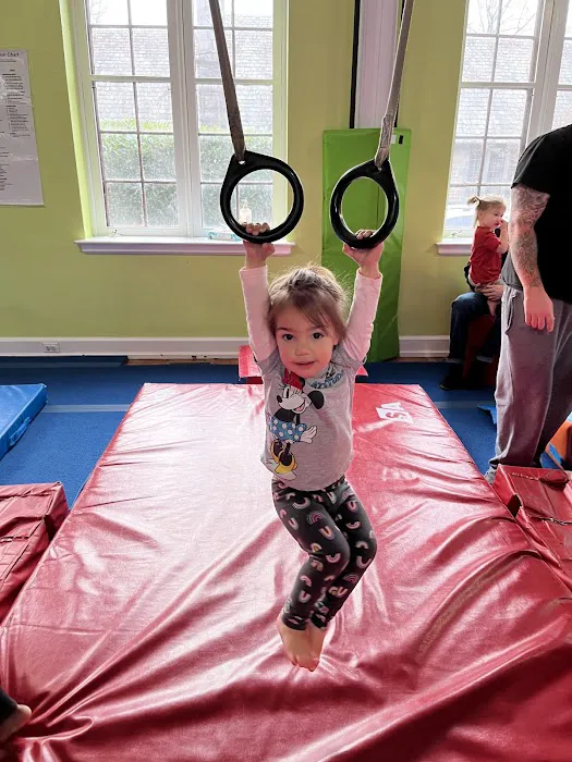 The Little Gym of Abington Picture 10