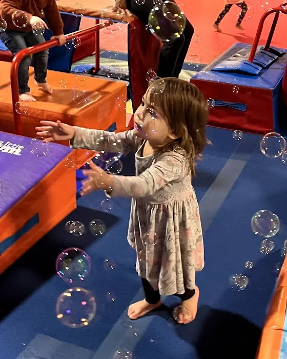 The Little Gym of Abington Picture 6