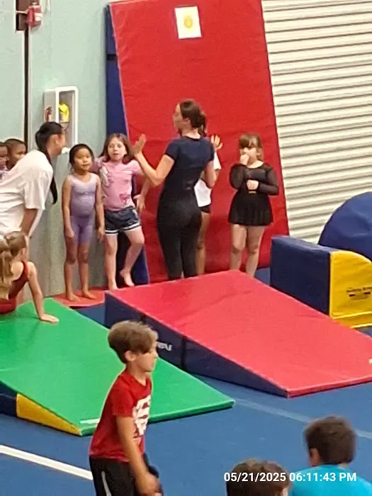 Precision South Gymnastics Picture 7