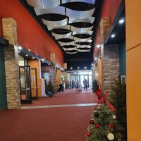 Frisco Discovery Center ico