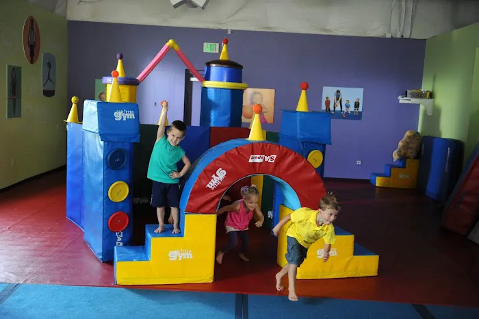 The Little Gym Upper Westside Picture 1