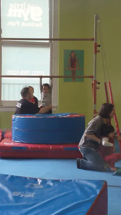 The Little Gym Upper Westside Picture 3