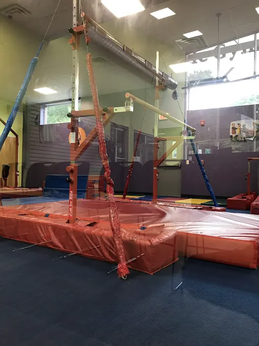 The Little Gym of Scotch Plains Picture 7