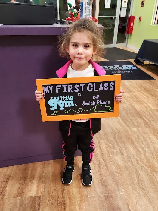 The Little Gym of Scotch Plains Picture 1