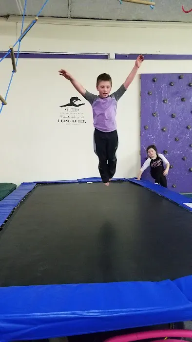 Stoughton Gymnastics Picture 5