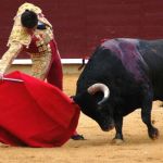 What is Pasodoble? The Spanish Bullfight-Inspired Dance