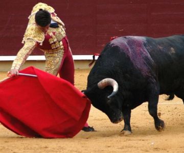What is Pasodoble? The Spanish Bullfight-Inspired Dance